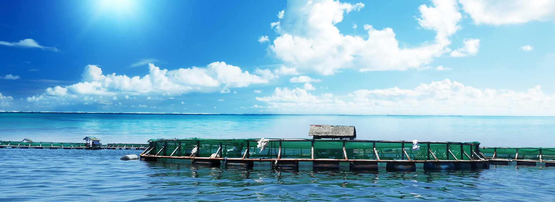 濟南中信達商貿有限公司